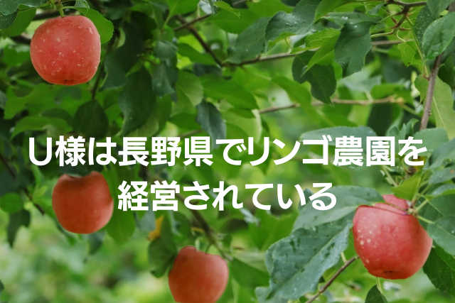 りんご農園イメージ画像